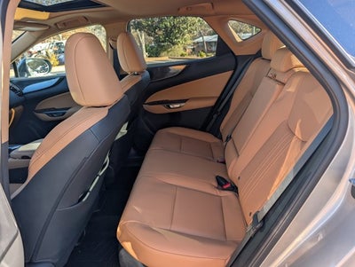 2025 Lexus NX NX 350h Premium