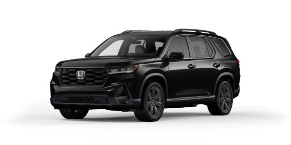 Learn more about the Pilot Sport